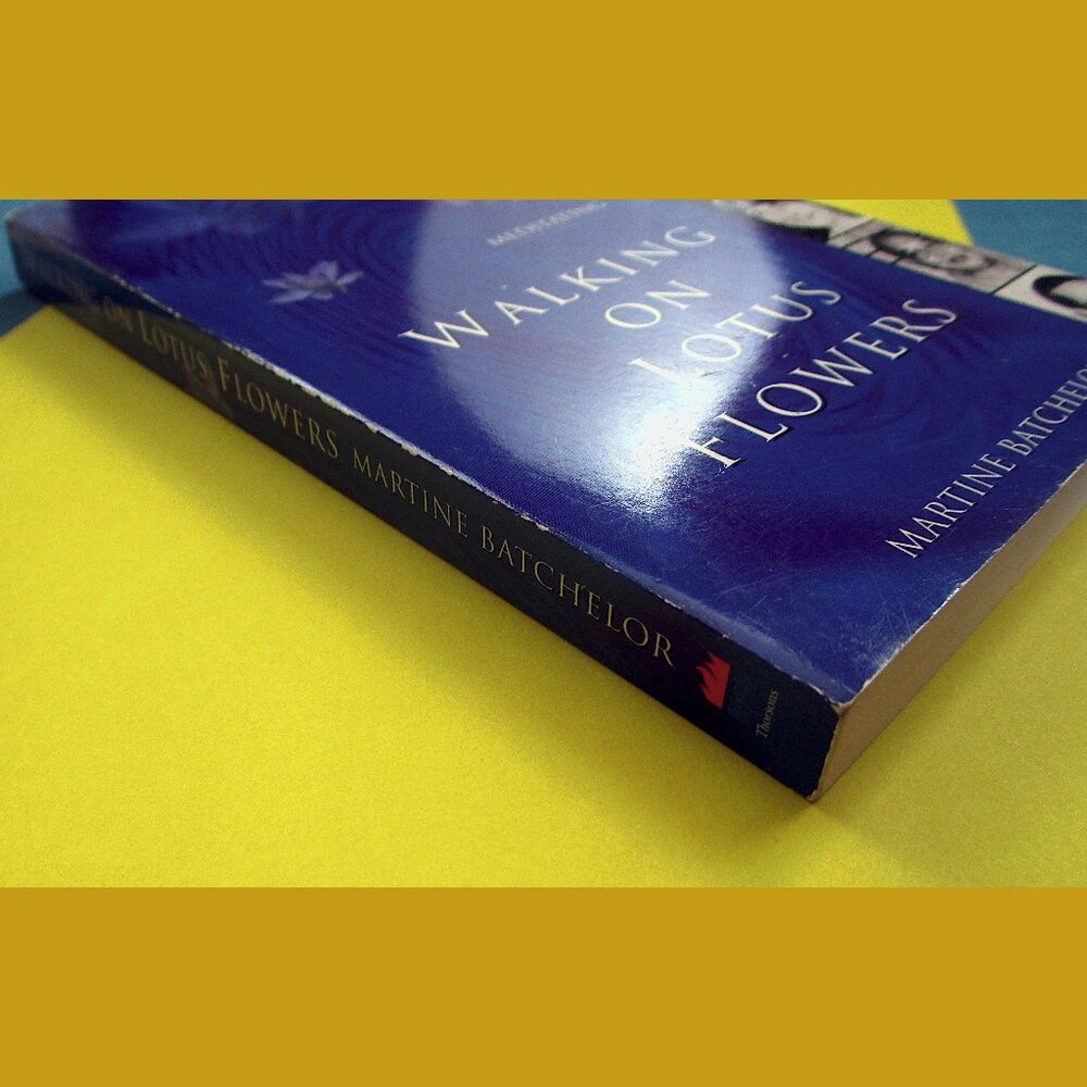 Book: Walking on Lotus Flowers, by Martine Batcheleor - Picture 12 of 14